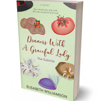 Tablet view of Kidnapper #644 - Premade Abstract Book Cover