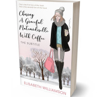 Tablet view of Cocoa Brown #651 - Premade Travel Book Cover