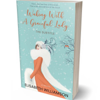 Tablet view of Sinbad #653 - Premade Abstract Book Cover