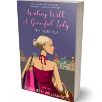 Tablet view of Mulled Wine #656 - Premade Literary Fiction Book Cover