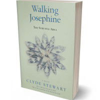 Tablet view of Clay Ash #677 - Premade Poetry Book Cover