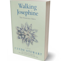 Tablet view of Clay Ash #0678 - Premade Poetry Book Cover | BookCoverZone