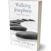 Tablet view of Abbey #680 - Premade Poetry Book Cover