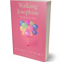 Tablet view of Deep Blush #683 - Premade Abstract Book Cover