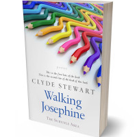 Tablet view of Chambray #685 - Premade Abstract Book Cover