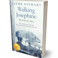 Tablet view of Fiord #687 - Premade Business Book Cover