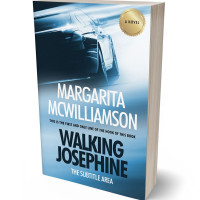 Tablet view of Half Baked #729 - Premade Travel Book Cover