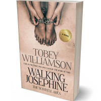 Tablet view of Rose Fog #0733 - Premade Action & Adventure Book Cover | BookCoverZone