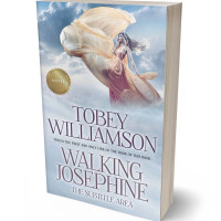 Tablet view of Iron #734 - Premade Poetry Book Cover