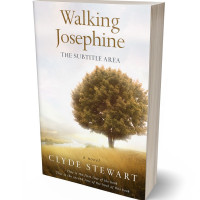 Tablet view of Metallic Bronze #741 - Premade Nature Book Cover