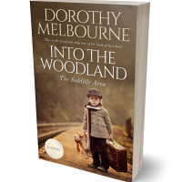 Tablet view of Shingle Fawn #807 - Premade Travel Book Cover