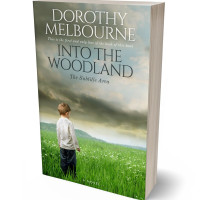 Tablet view of Battleship Gray #837 - Premade Literary Fiction Book Cover