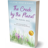 Tablet view of Geyser #860 - Premade Poetry Book Cover