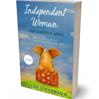 Tablet view of Hippie Blue #875 - Premade Travel Book Cover