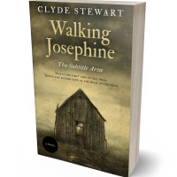 Tablet view of Judge Gray #881 - Premade Apocalyptica Book Cover