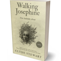 Tablet view of Akaroa #885 - Premade Fantasy Book Cover