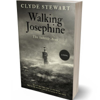 Tablet view of Flint #888 - Premade Fantasy Book Cover