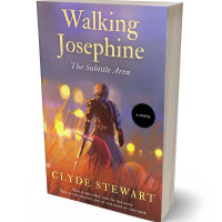 Tablet view of Falcon #906 - Premade Historical Book Cover