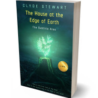 Tablet view of Firefly #922 - Premade Fantasy Book Cover