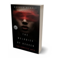 Tablet view of Night Rider #1026 - Premade Mystery & Thriller & Suspense Book Cover