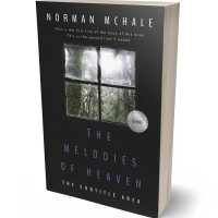 Tablet view of Tuatara #1046 - Premade Literary Fiction Book Cover