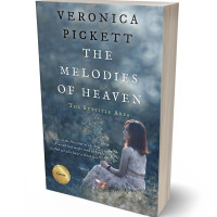 3D view of Shuttle Gray #1069 - Premade Romance Book Cover | BookCoverZone