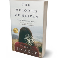 3D view of Armadillo #1070 - Premade Romance Book Cover