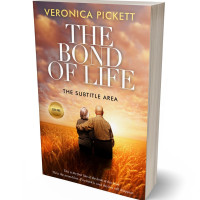 3D view of Premade Romance Book Cover - Twine