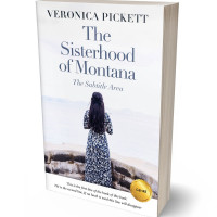 3D view of Ebony Clay #1195 - Premade Historical Book Cover