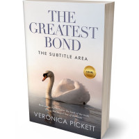 Tablet view of Gravel #1205 - Premade Abstract Book Cover