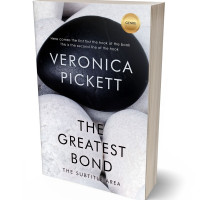 Tablet view of Mischka #1217 - Premade Self-Improvement & Self-Help Book Cover | BookCoverZone