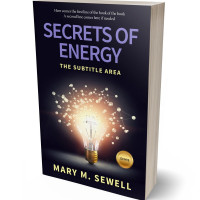 Tablet view of Cameo #1317 - Premade Business Book Cover