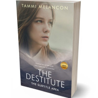 3D view of Schooner #1502 - Premade Fantasy Book Cover