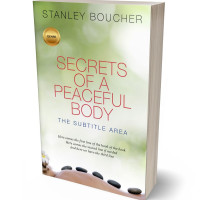 Tablet view of Periglacial Blue #1587 - Premade Health & Mind & Body Book Cover