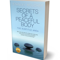 Tablet view of Blizzard Blue #1588 - Premade Health & Mind & Body Book Cover