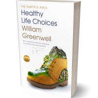 Tablet view of Sycamore #1642 - Premade Action & Adventure Book Cover