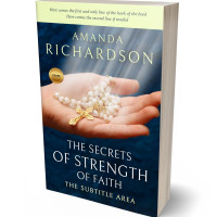 Tablet view of Chamois #1773 - Premade Religion & Spirituality Book Cover