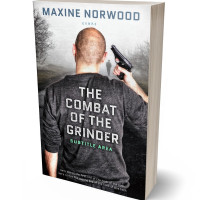 Tablet view of Ship Gray #1973 - Premade Literary Fiction Book Cover