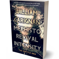 Tablet view of Double Spanish White #2282 - Premade Mystery & Thriller & Suspense Book Cover