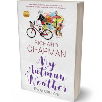 Tablet view of Gallery #2310 - Premade Chick Lit Book Cover