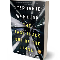 3D view of Bison Hide #2318 - Premade Mystery & Thriller & Suspense Book Cover