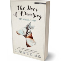 Tablet view of Satin Linen #2811 - Premade Abstract Book Cover