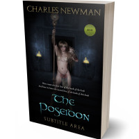 3D view of Premade Fantasy Book Cover - Woodsmoke