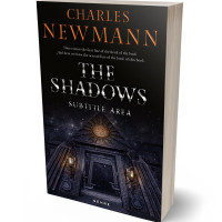 3D view of Woodsmoke #2900 - Premade Fantasy Book Cover