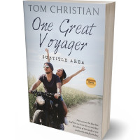 3D view of Iron #3008 - Premade Romance Book Cover