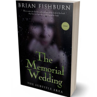 3D view of Premade Romance Book Cover - Woodsmoke