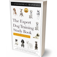 Tablet view of Swirl #3136 - Premade Abstract Book Cover