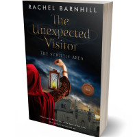 3D view of Premade Mystery & Thriller & Suspense Book Cover - Woodsmoke