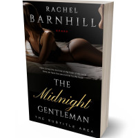 3D view of Night Rider #3473 - Premade Erotica Book Cover | BookCoverZone