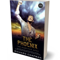 Tablet view of Rodeo Dust #3663 - Premade Business Book Cover